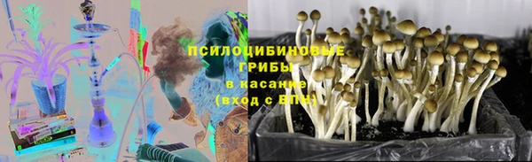 а пвп мука Алзамай
