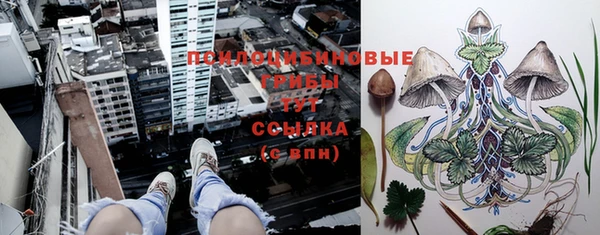 а пвп мука Алзамай