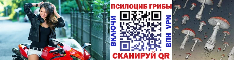 Псилоцибиновые грибы GOLDEN TEACHER  Вихоревка 